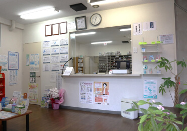 みなみ調剤薬局 さいわい店