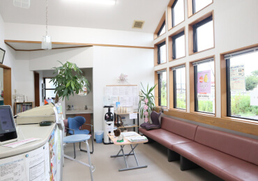 みなみ調剤薬局 曽根店